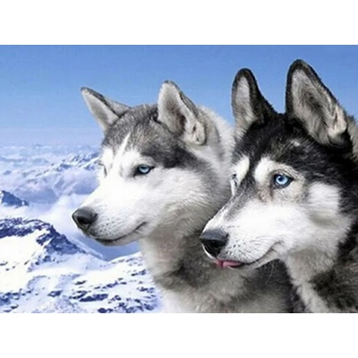 Хъски 40/40 см