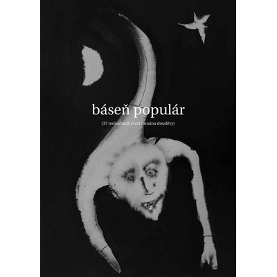 Báseň populár - David Růžička
