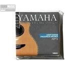 Yamaha AEP 12