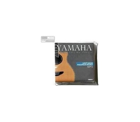 Yamaha AEP 12