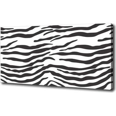 Foto obraz na plátne Zebra pozadia 100x50 cm