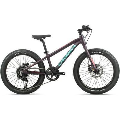 Orbea MX 20 Team