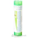 Voľne predajné lieky Iris Versicolor gra.1 x 4 g 5CH