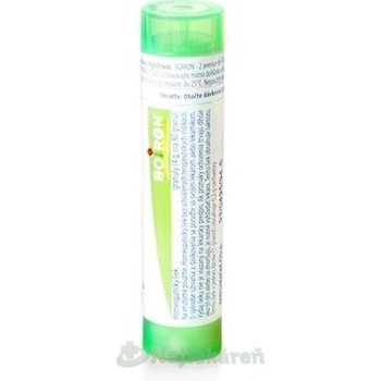 Iris Versicolor gra.1 x 4 g 5CH