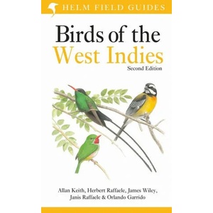 Field Guide to Birds of the West Indies | KEITH ALLAN (ISBN: 9781472979506)