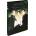 MagicBox Война и мир - dvd (011055)