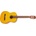 Squier ESC 110