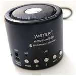 Wster WS-Q9 Портативна тонколона