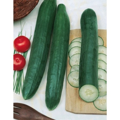 Uhorka šalátová Saladin F1