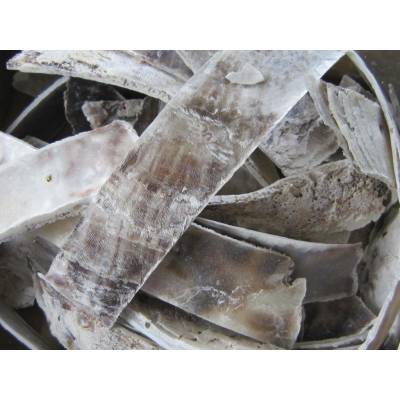 Dijk Natural Collection Mušle Shell řezy 650 g