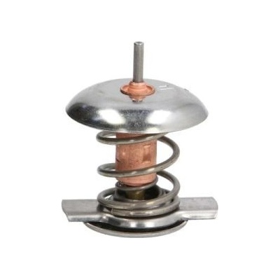 Termostat, chladivo THERMOTEC D2Y002TT