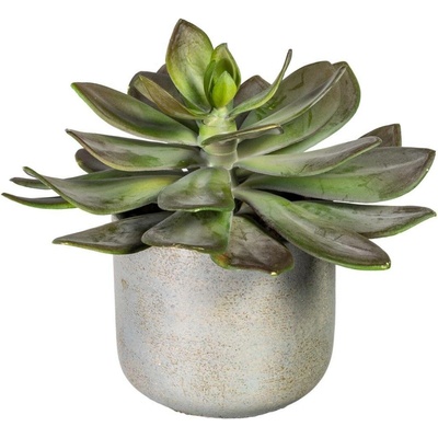 Gasper Umělá rostlina Echeveria XL