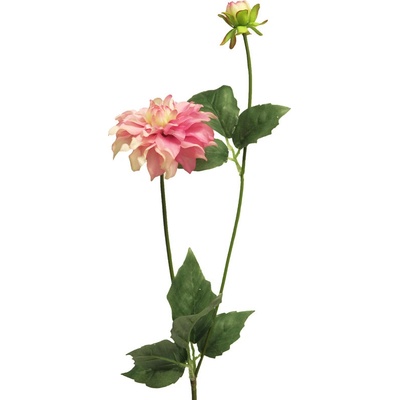 Jiřinka - Dahlia mini spray mauve/fialová 70cm