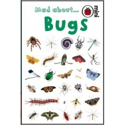 Mad About Bugs Ladybird Minis - Ladybird