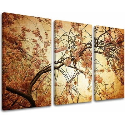 3dílný obraz na stěnu KVĚTINY - 120x80 cm