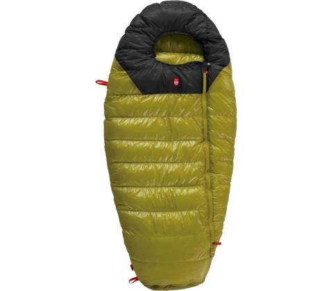 Pajak Quest Bear Junior