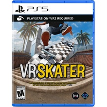 VR Skater