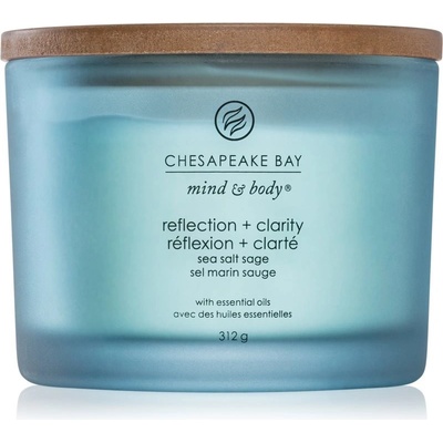 Chesapeake Bay Reflection + Clarity 312 g