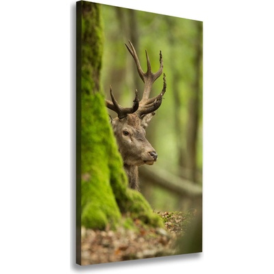 Vertikálny foto obraz tlačený na plátne Jeleň 50x100 cm