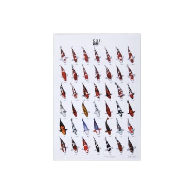 Plakát KOI č.1 / 68 x 98 cm (Poster)