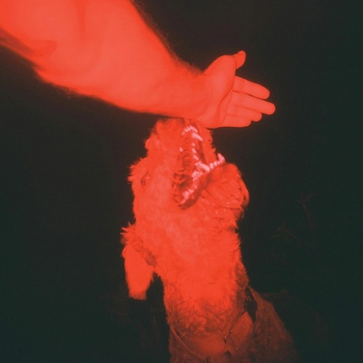 Winter Eli A Trick of the Light 1 LP