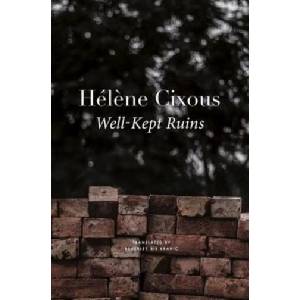 Well-Kept Ruins (ISBN: 9781803090597)