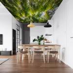 Art Gift Decor Фототапет - Вековни дървета