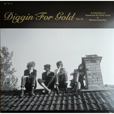 Various Artists - Diggin' For Gold, Vol. 15 LP