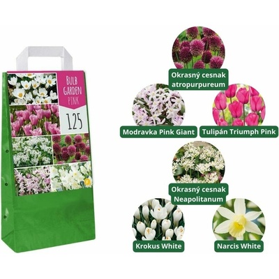 MIX cibuľovín 6 odrôd oddelene balené 125 ks v balení - Bulb Garden Pink