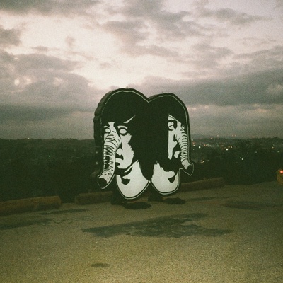DEATH FROM ABOVE 1979 - THE PHYSICAL WOR 2 LP