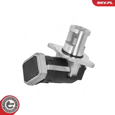 ESEN SKV AGR ventil ESN 14SKV306