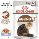 Royal Canin Ageing 12+ Jelly 85 g