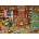Ravensburger - Puzzle Home for Christmas - 1 000 piese