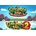 Gardens Inc. Bundle