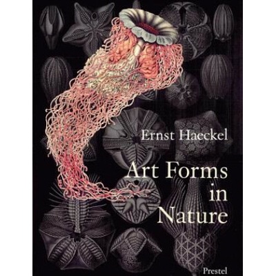 Art Forms in Nature Breidbach Olaf