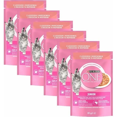 Purina One Junior mini filetky s lososom a mrkvou v šťave 6 x 85 g