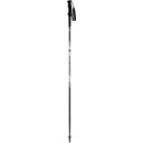 Dynafit Alpine Pro Pole