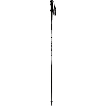 Dynafit Alpine Pro Pole