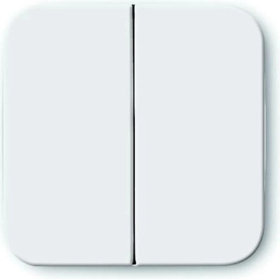 Busch-Jaeger 2CKA001434A0562