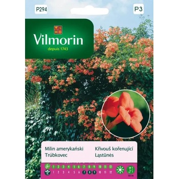 Image 1 of Vilmorin Кампсис (Тромпетно цвете)