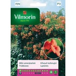 Vilmorin Кампсис (Тромпетно цвете)