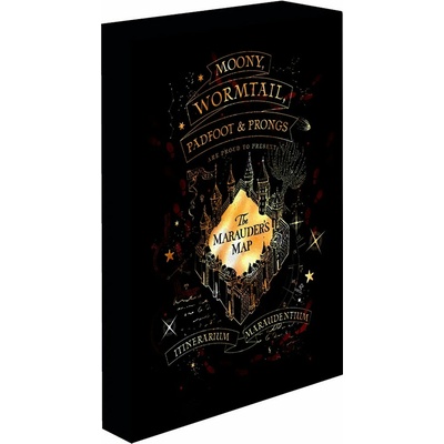 Paladone Svietiaci obraz Harry Potter - Záškodnícky plánik