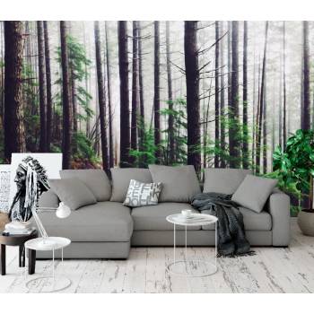 Image 1 of Art Gift Decor Фототапет мъгла в гората