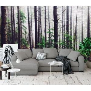 Art Gift Decor Фототапет мъгла в гората