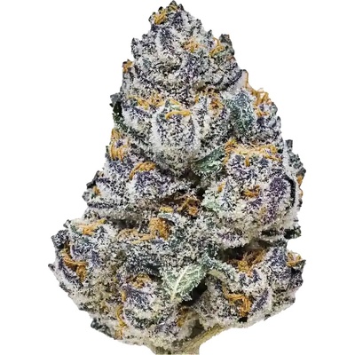 Fastbuds Rainbow Melon semienka neobsahujú THC 10 ks