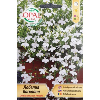 Image 1 of Opal Zi Каскадна Лобелия