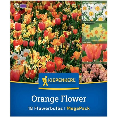 Kiepenkerl Cibuloviny 'Orange Flower' mix narcisy tulipány hyacinty doba výsadby: září až prosinec 18 ks 2875039