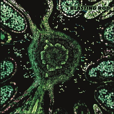 Blasting Rod - Of Wild Hazel (LP) (2090505272383)