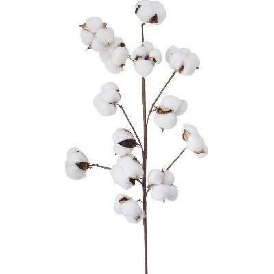 Boltze Umělá bavlníková větev, 68 cm