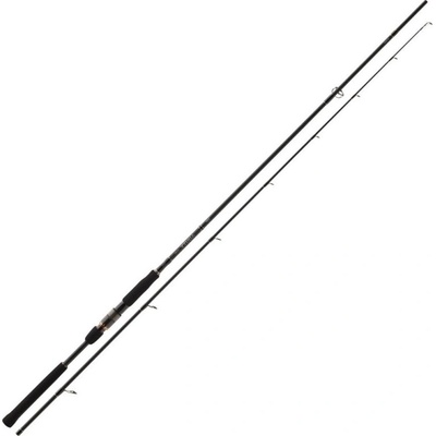 Daiwa Airity Jigger 2,7 m 35 g 2 díly